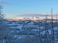 IMG 4584